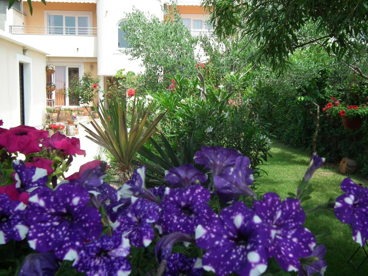 Apartments Jadranka بريفلاكا المظهر الخارجي الصورة